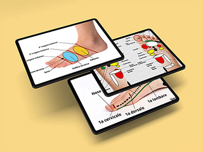Mappe professionali di riflessologia plantare: mappa dorsale, plantare e interno piede
