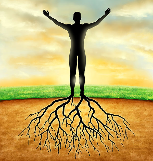 I piedi come radici di un albero