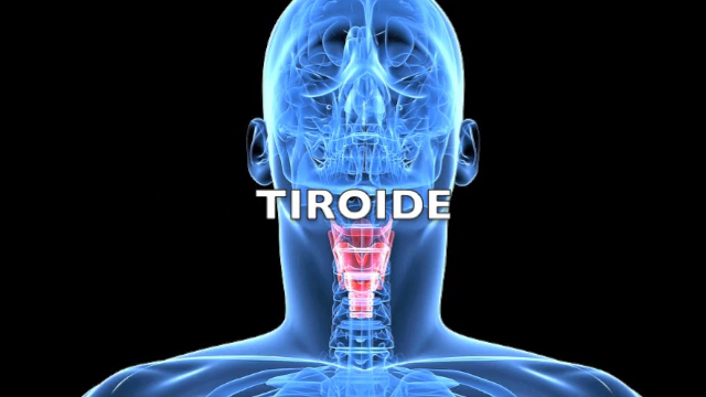 tiroide in riflessologia plantare